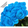 Краски для цветов  -  Голубые розы